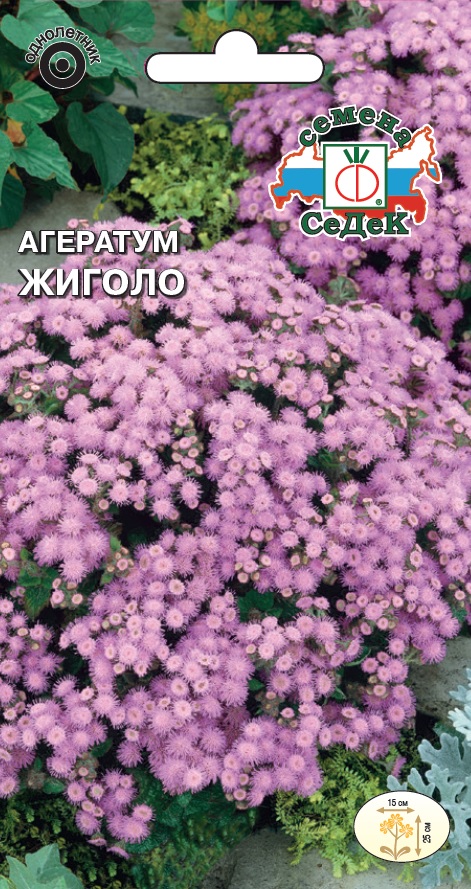 Семена цветов - Агератум Жиголо (Мексиканский, Розовый) 0,1 г - 2 пакета