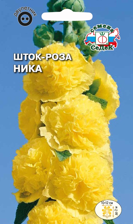 Семена цветов - Шток-Роза Ника 0,1 г - 2 пакета