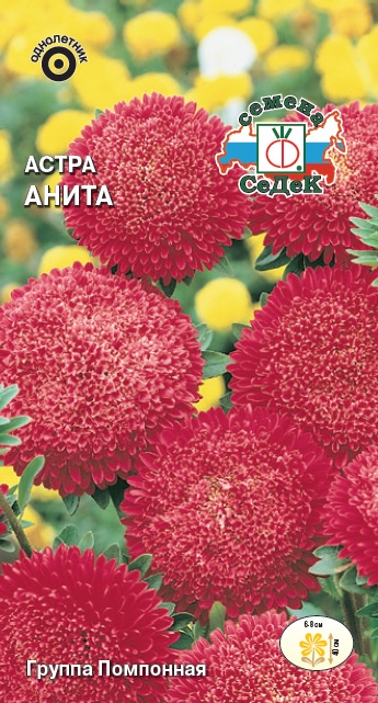 Семена цветов - Астра Анита 0,2 г - 2 пакета
