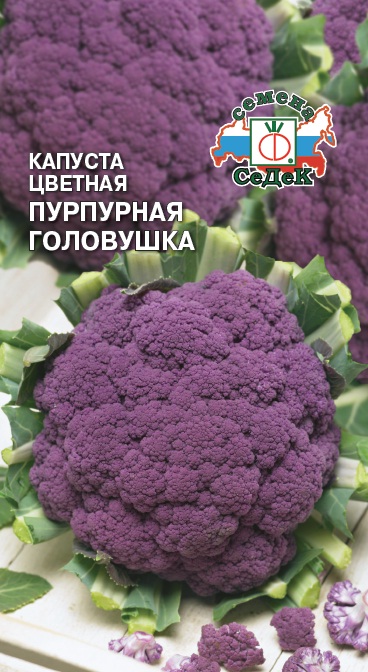 Семена - Капуста Пурпурная Головушка Цветная 0,5 г - 2 пакета