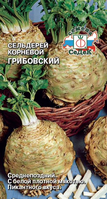 Семена - Сельдерей Грибовский (Корневой) 0,5 г - 2 пакета
