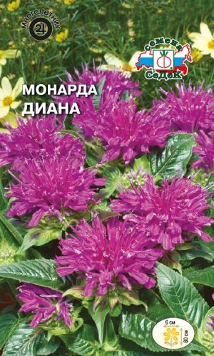 Семена цветов - Монарда Диана 0,1 г - 2 пакета